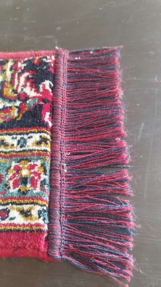 ترمیم ریشه شیراز